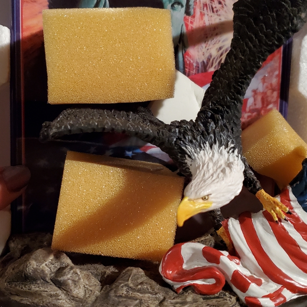 Eagle freedom plate new